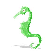 Cartoon Sea Horse N14