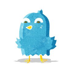 funny cartoon bird N48