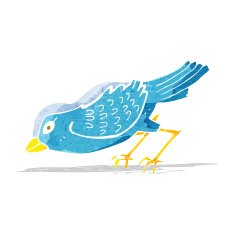 cartoon garden bird N7