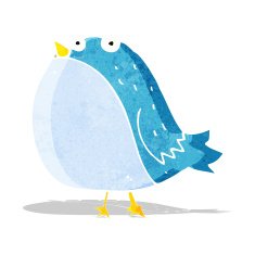 cartoon fat bird N2