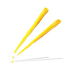 Cartoon Chopsticks N9