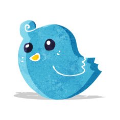 Cartoon Bird N135
