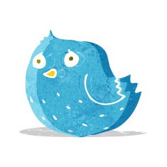 Cartoon Bird N136