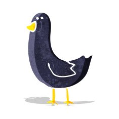 Cartoon Bird N140