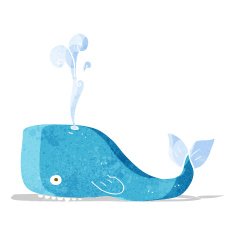 Cartoon Whale N53