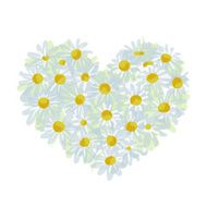 Summer bouquet heart shape made from daisy sketch design N2