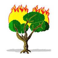 cartoon burning tree N12