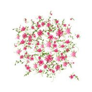 Floral frame for your design N2