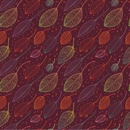 autumn leaf background N7