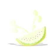 cartoon melon slice N4