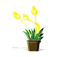 cartoon orchid plant N2