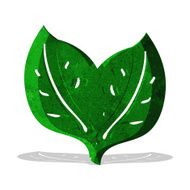 Cartoon Leaf N52