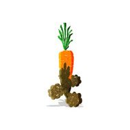 Cartoon Carrot N39