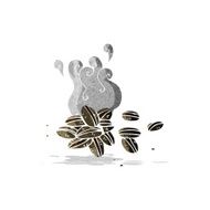 Cartoon Coffee Beans N11