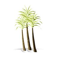 Cartoon Palm Tree N63