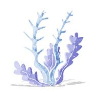 Cartoon Seaweed N31