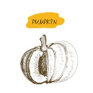 Pumpkin N10