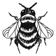 bumblebee