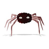 Cartoon Spider N15