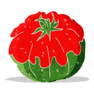 Cartoon Tomato N45