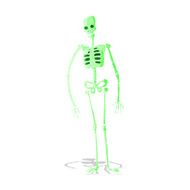 cartoon spooky skeleton N2