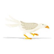 Cartoon Bird N151