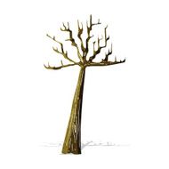 cartoon winter tree N2