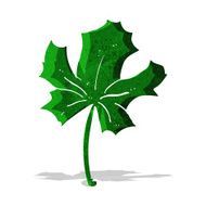 cartoon red maple leaf N2