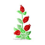cartoon rosehip flowers