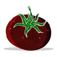 Cartoon Tomato N47