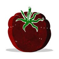 Cartoon Tomato N50