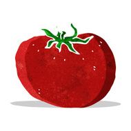 Cartoon Tomato N53