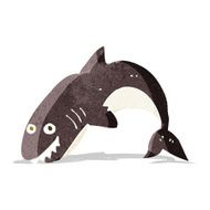 Cartoon Shark N39