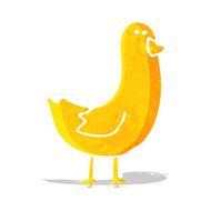 Cartoon Bird N170