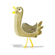 Cartoon Bird N171