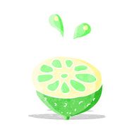 cartoon fresh lime N2