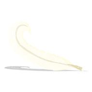 Cartoon Feather N19