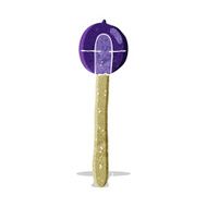 Cartoon Lollipop N13