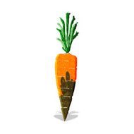 Cartoon Carrot N40