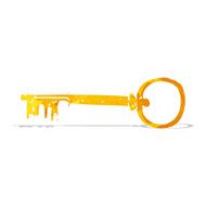 Cartoon Key N16