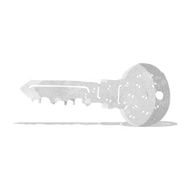 Cartoon Key N17
