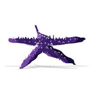 Cartoon Starfish N36
