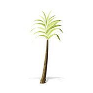 Cartoon Palm Tree N65