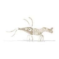Cartoon Shrimp N23