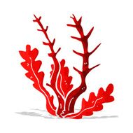 Cartoon Seaweed N36
