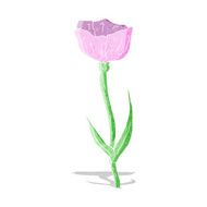 cartoon flower N203
