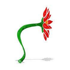 cartoon flower N153