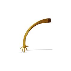 cartoon arm N36