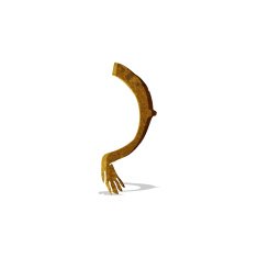 cartoon arm N40