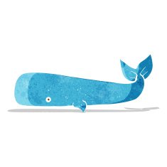 Cartoon Whale N54